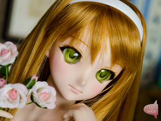 1-D791-g2.jpg