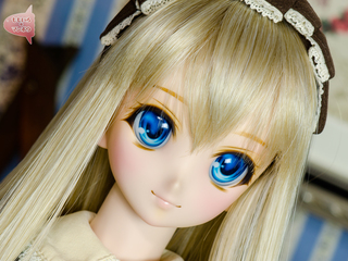 1-D793-b1.jpg