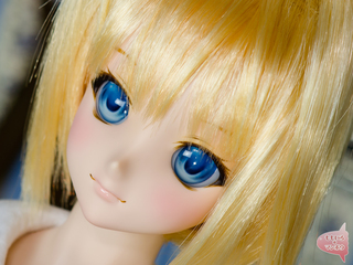 2-D791-b3.jpg