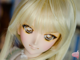 2-D794-br1.jpg
