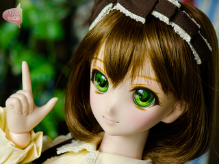 6-D793-g3.jpg