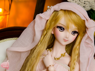 8-D764-e7.jpg