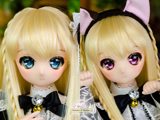D1000-eye.jpg