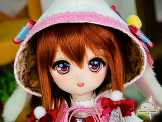 D1008-1.jpg