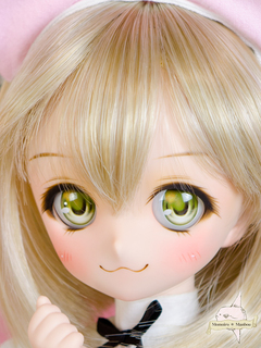 D917-siro.jpg