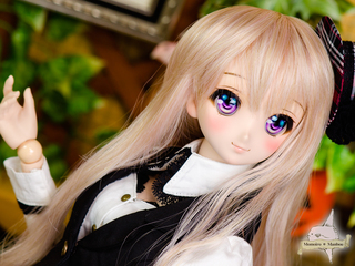 D988-4.jpg