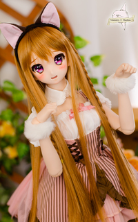 D1069-11.jpg