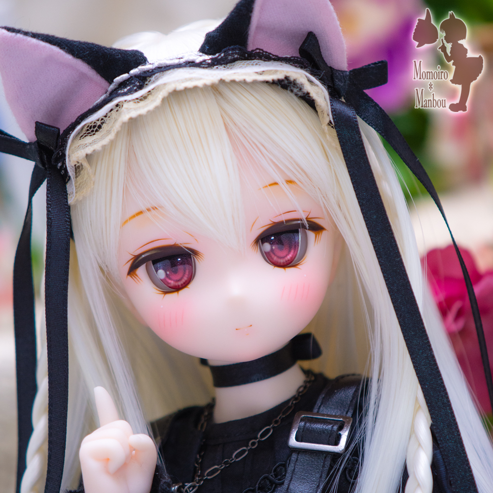 D2049-1.jpg