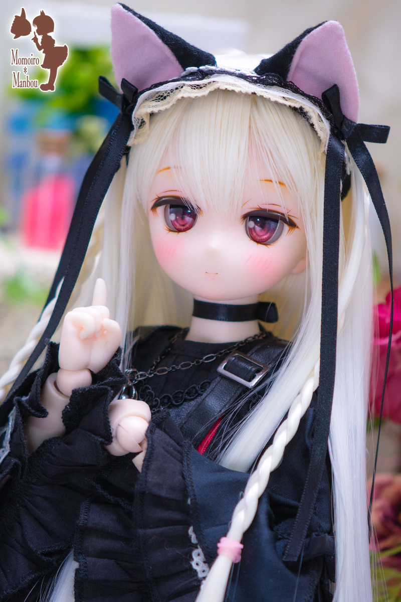D2049_t_1.jpg
