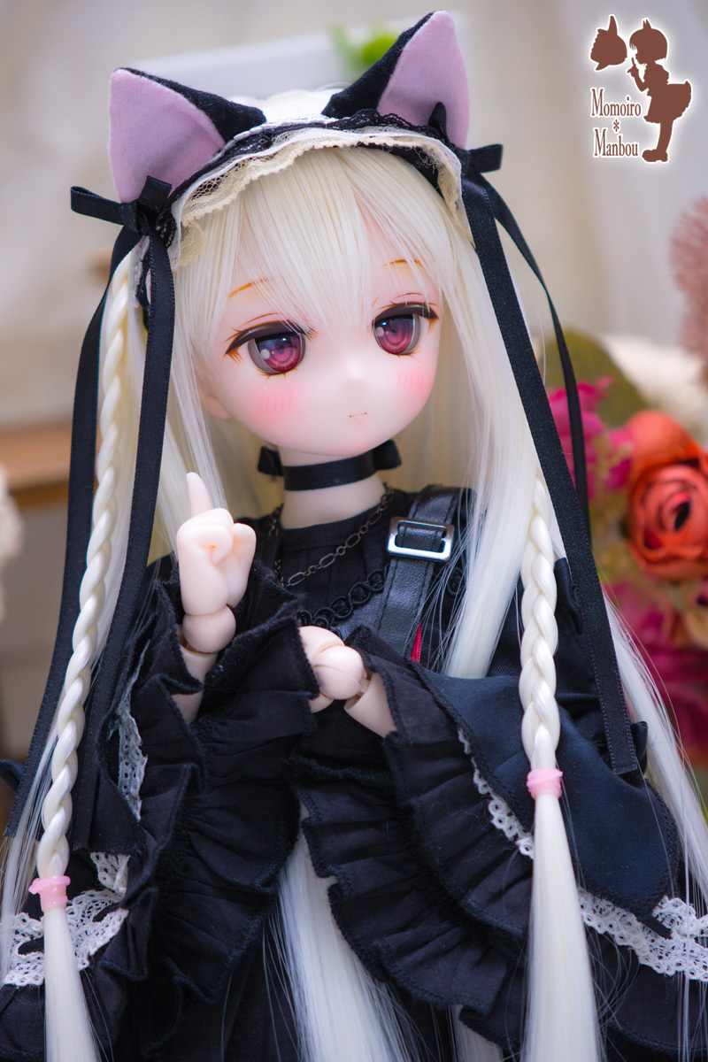 D2049_t_3.jpg
