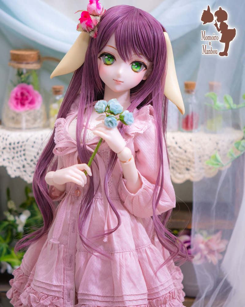 D2054_t_3.jpg