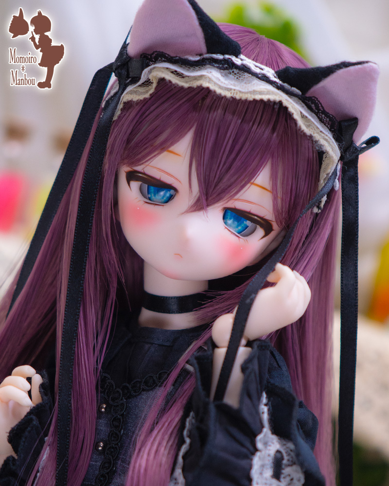 D2060_t_1.jpg