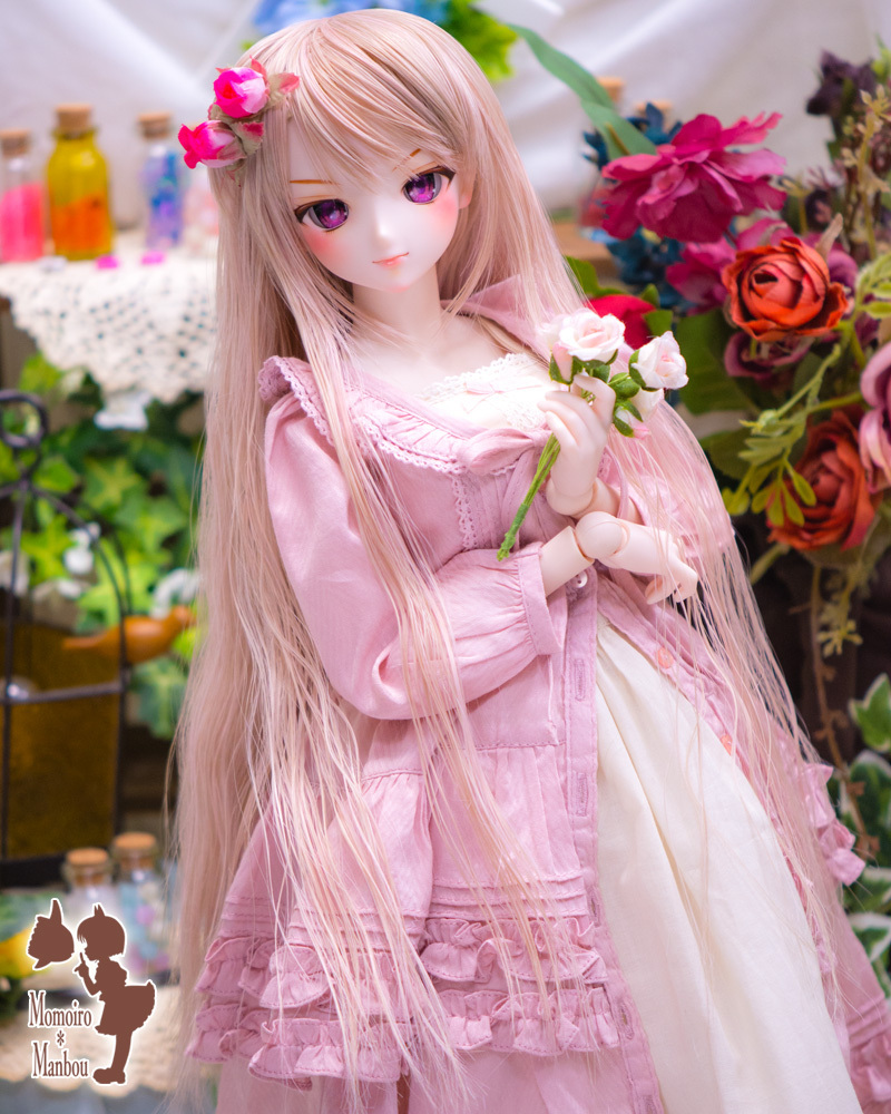 D2061_t_3.jpg